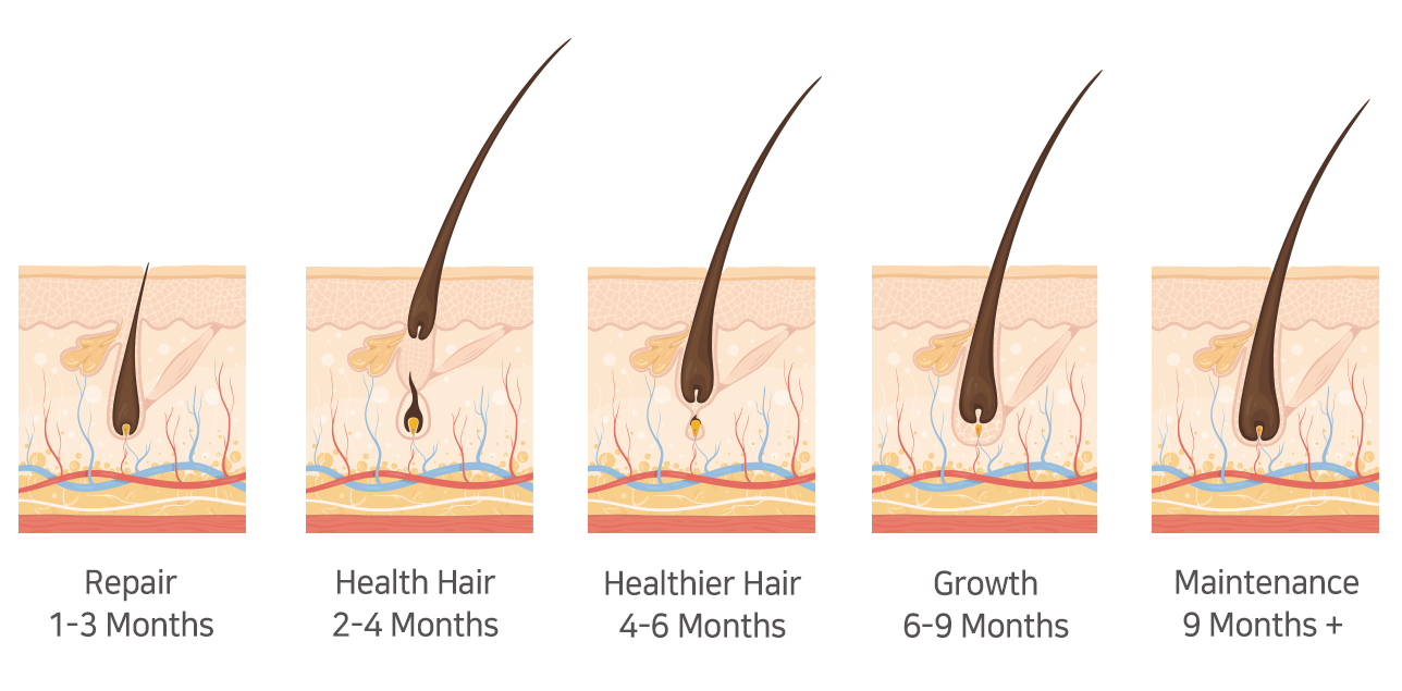 HairBoom Air
